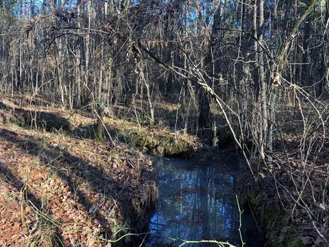 0 Highway 160, Plain Dealing, LA 71064 photo 35