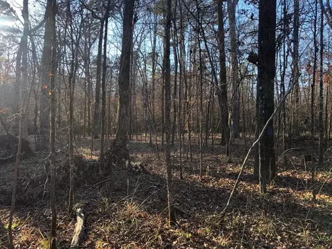 0 Highway 160, Plain Dealing, LA 71064 photo 32