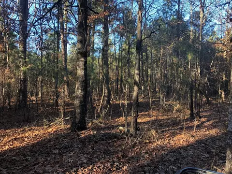 0 Highway 160, Plain Dealing, LA 71064 photo 28