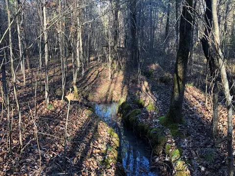 0 Highway 160, Plain Dealing, LA 71064 photo 31