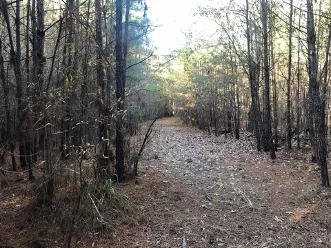 0 Highway 160, Plain Dealing, LA 71064 photo 20