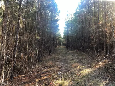 0 Highway 160, Plain Dealing, LA 71064 photo 13