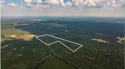 tbd County Road 1582, Avinger, TX 75630