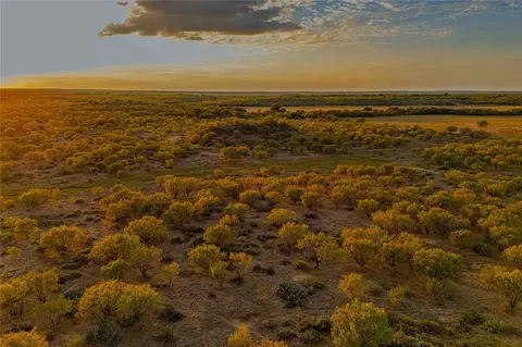 10579 Private Road 3151, Moran, TX 76464