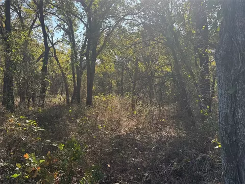 2139 2 Bush Rd, Perrin, TX 76487