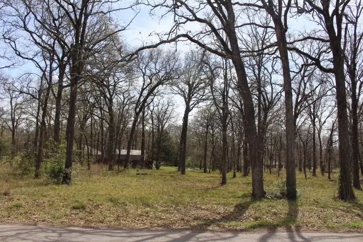  0 Arbolado Blvd, Gun Barrel City, TX 75156 photo 1