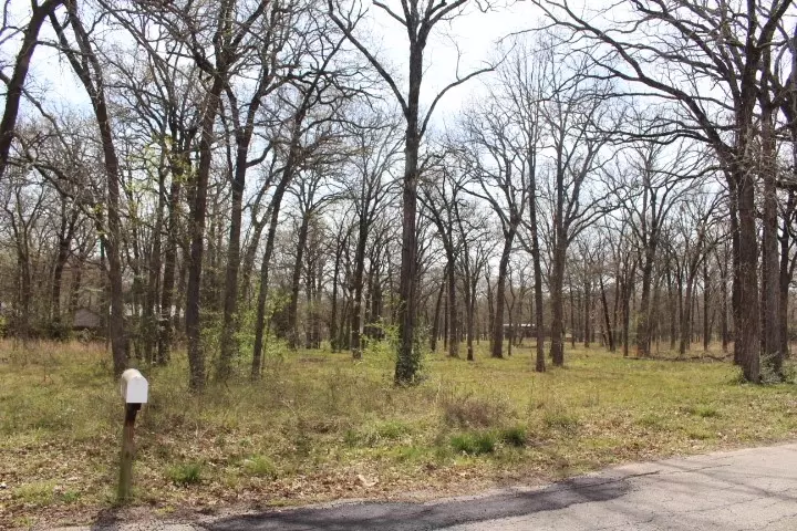  0 Arbolado Blvd, Gun Barrel City, TX 75156 photo 3