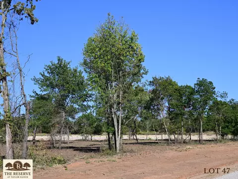 lot47 Colt Rd, Springtown, TX 76082