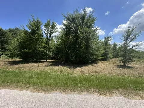 527 Tahiti Ln, Tool, TX 75143