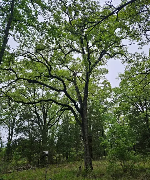 01 Private 5401 Rd, Malakoff, TX 75148