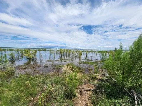 20101 Private Road 4901 Rd #4901, Paint Rock, TX 76862