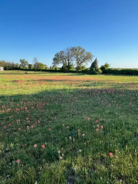 3951 Brushy Rd, Granbury, TX 76048