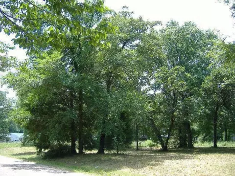 66 Westwind Rd, Tool, TX 75143