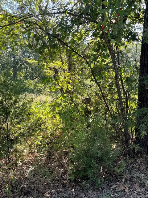 00 Pinewood Dr, Hawk Cove, TX 75474