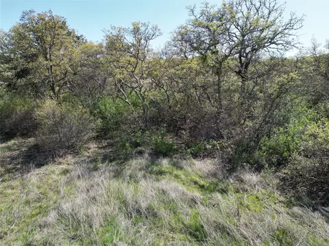 lot148 Hidden Shores Dr, Cisco, TX 76437