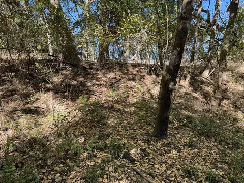 tbd Fm 2675, Roxton, TX 75477 photo 11