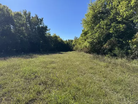 tbd Fm 2675, Roxton, TX 75477 photo 6