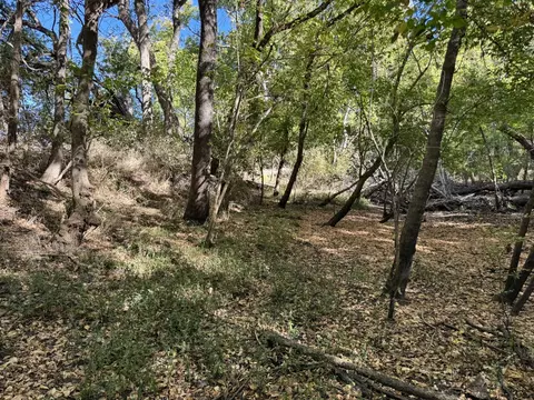 tbd Fm 2675, Roxton, TX 75477 photo 10