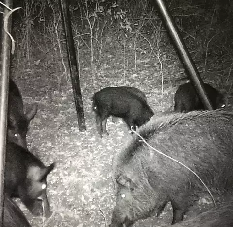 tbd Fm 2675, Roxton, TX 75477 photo 13