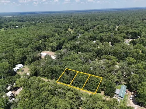 lot S 265-267 Knottypine, Livingston, TX 77351