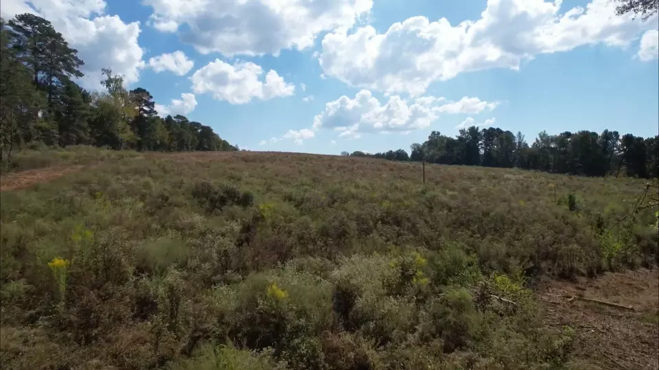  tbd D County Road 4172d, Laneville, TX 75667 photo 5