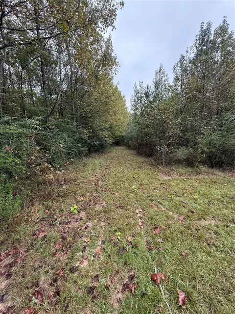 0 Greene Rd, Minden, LA 71055 photo 2