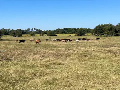 tbd 1368 Acres Lowell Rd, Milford, TX 76670