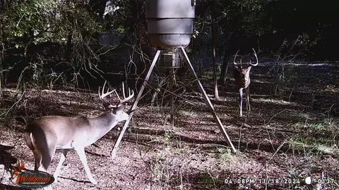 3061 Canyon Ranch Rd, Palo Pinto, TX 76484