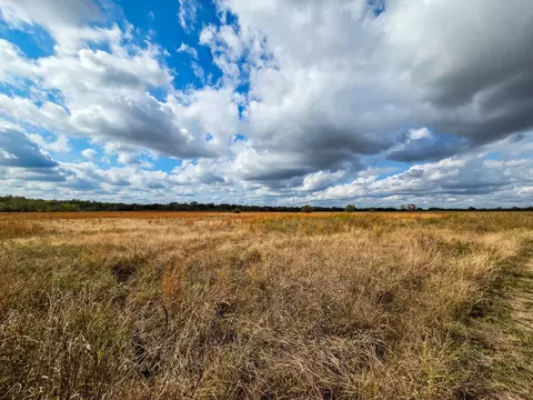 tbd 3835 Rd, Bailey, TX 75413 photo 11