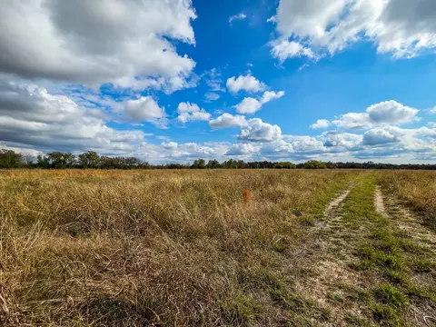 tbd 3835 Rd, Bailey, TX 75413 photo 12