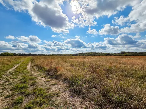 tbd 3835 Rd, Bailey, TX 75413 photo 13