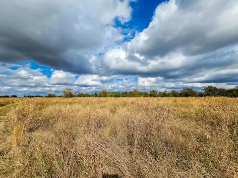 tbd 3835 Rd, Bailey, TX 75413 photo 10