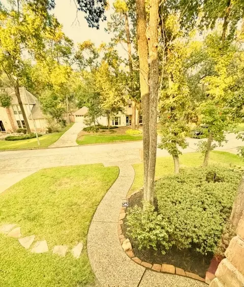 Other - 9547 Enstone Cir, Spring, TX 77379 photo 3 of 6