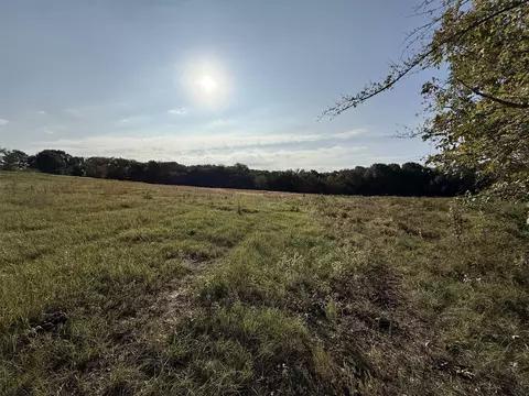 tbd County Road 1124, Fruitvale, TX 75127