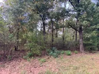 tbd Daniel Boone Ln, Log Cabin, TX 75148