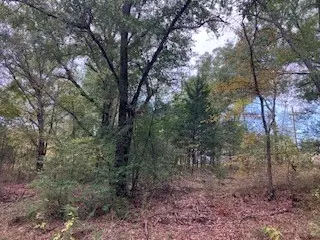 tbd Lot 16 Westwood Dr, Trinidad, TX 75163