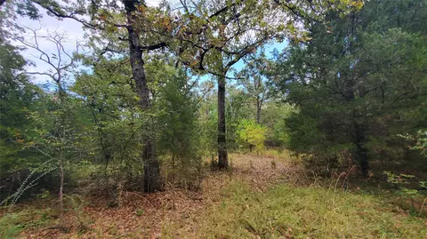 0 Apache Trl, Log Cabin, TX 75148 photo 13