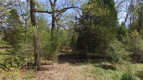 0 Apache Trl, Log Cabin, TX 75148 photo 16