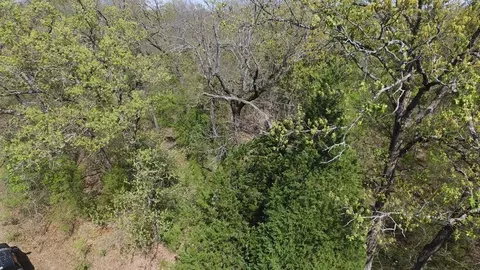 0 Apache Trl, Log Cabin, TX 75148 photo 18