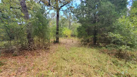 0 Apache Trl, Log Cabin, TX 75148 photo 12