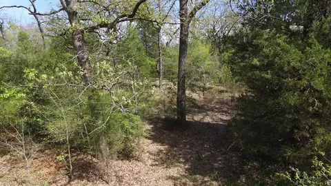 0 Apache Trl, Log Cabin, TX 75148 photo 10