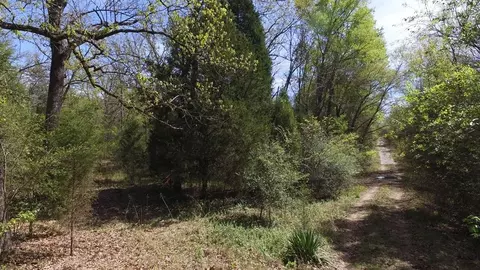 0 Apache Trl, Log Cabin, TX 75148 photo 4