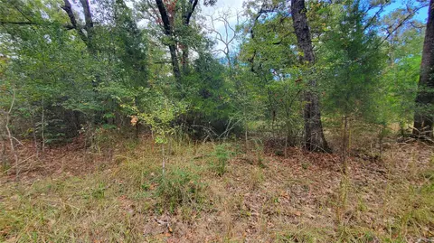 0 Apache Trl, Log Cabin, TX 75148 photo 15