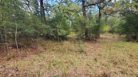 0 Apache Trl, Log Cabin, TX 75148 photo 9