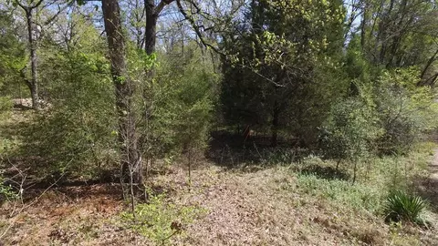 0 Apache Trl, Log Cabin, TX 75148 photo 17