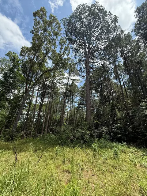 tbd Pr 1332, Elysian Fields, TX 75642 photo 7