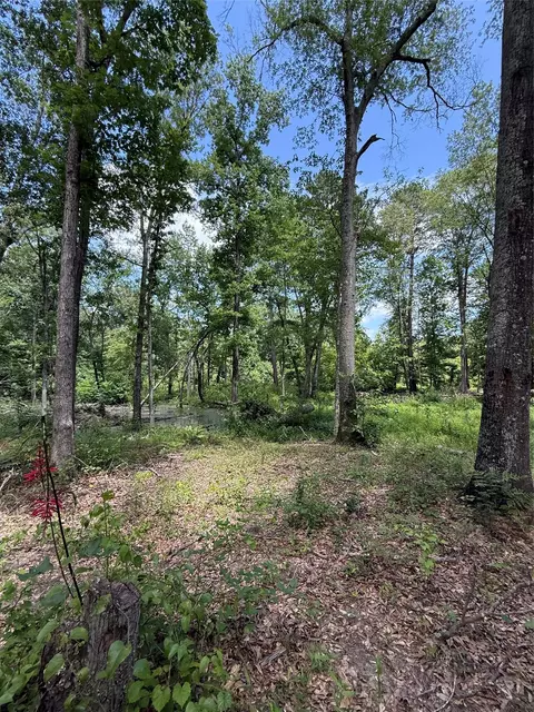 tbd Pr 1332, Elysian Fields, TX 75642 photo 2