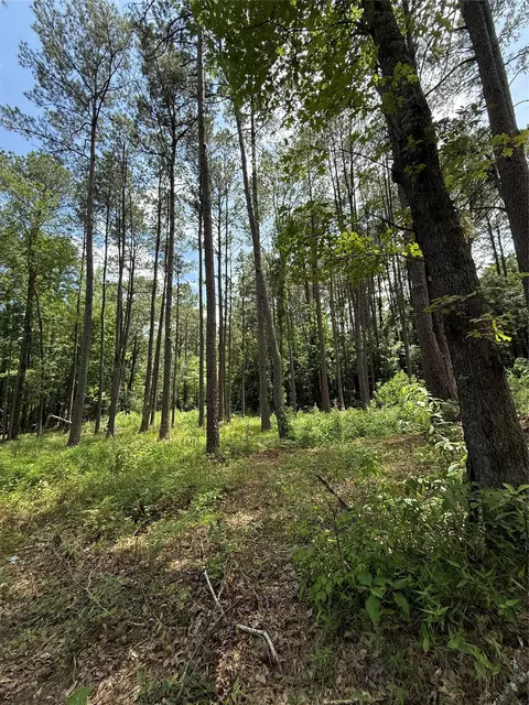 tbd Pr 1332, Elysian Fields, TX 75642 photo 4