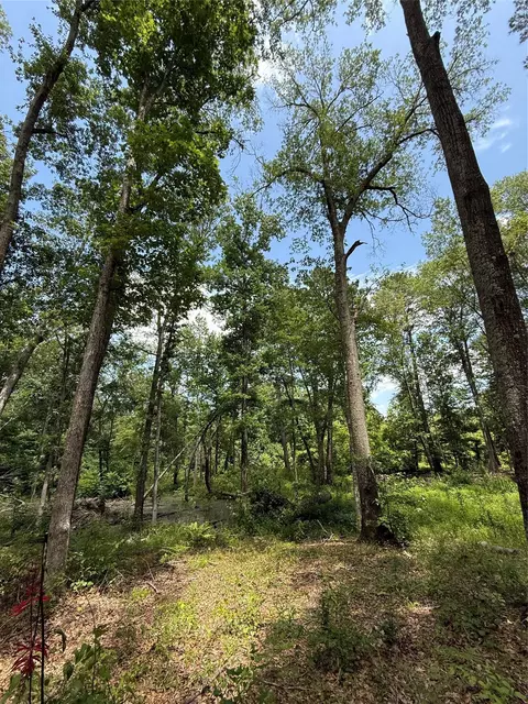 tbd Pr 1332, Elysian Fields, TX 75642 photo 6