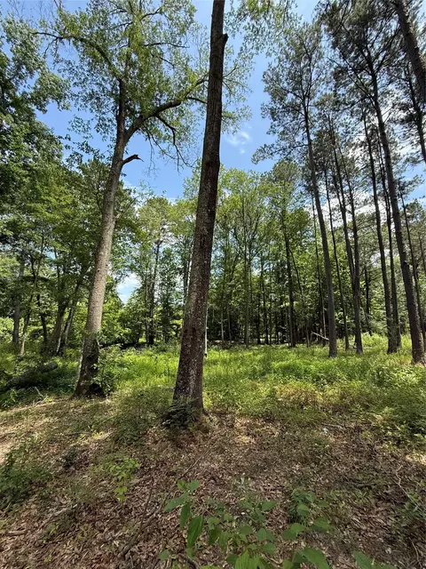 tbd Pr 1332, Elysian Fields, TX 75642 photo 5